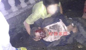 杞县邢口车祸最新爆料,悲剧现场细节披露,伤亡情况引关注